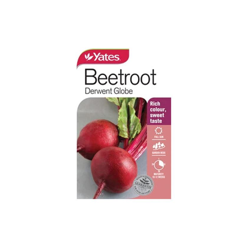 Beetroot Derwent Globe