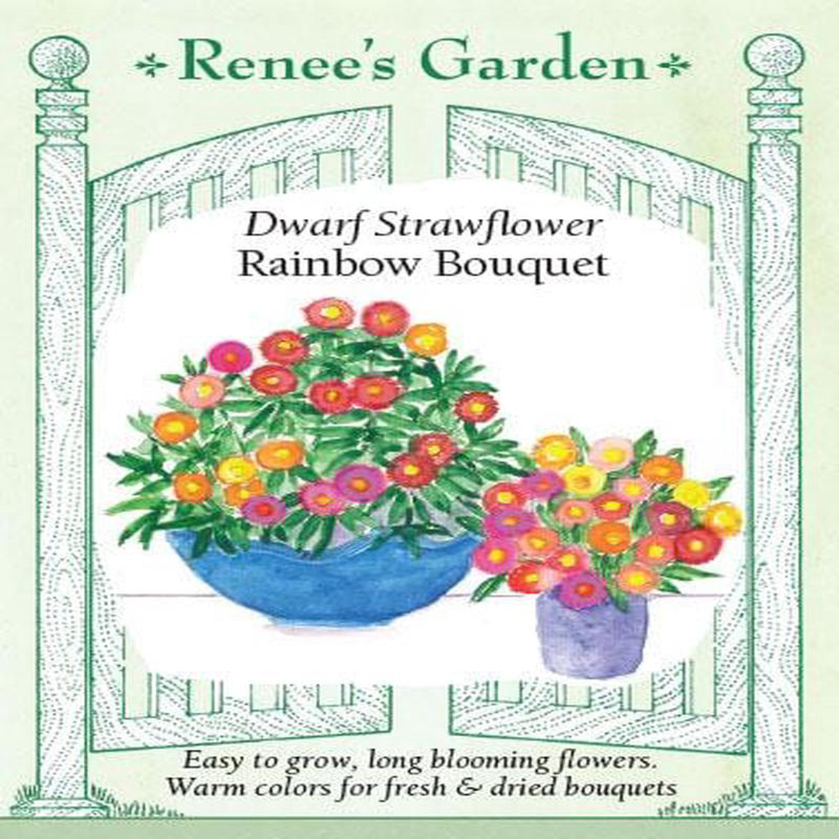 Strawflower Rainbow Bouquet 8211 Renee8217s Garden