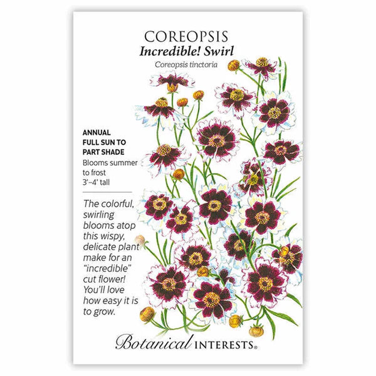 Coreopsis seeds 'Incredible Swirl Hybrid'