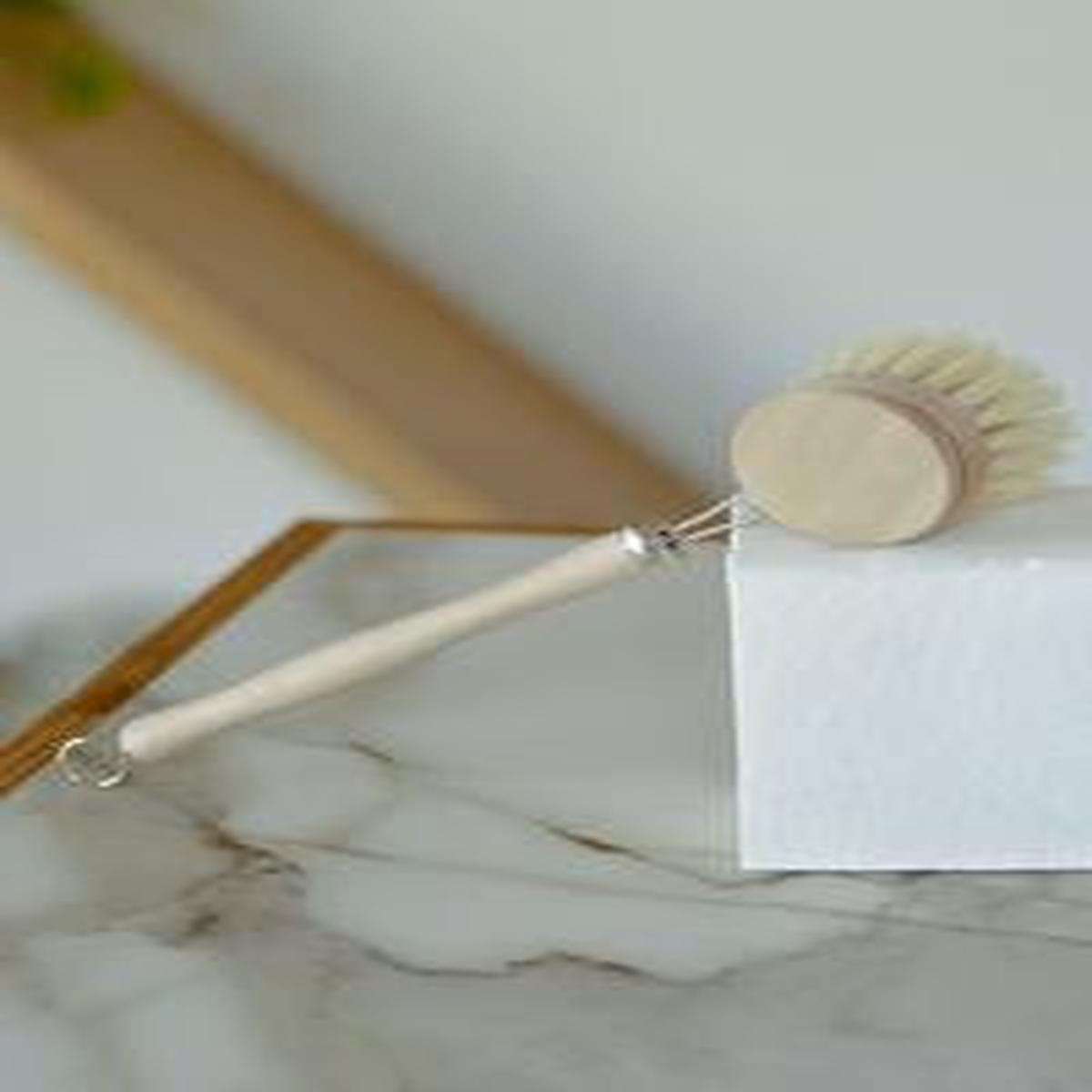 Dish Scrub Brush - Brush