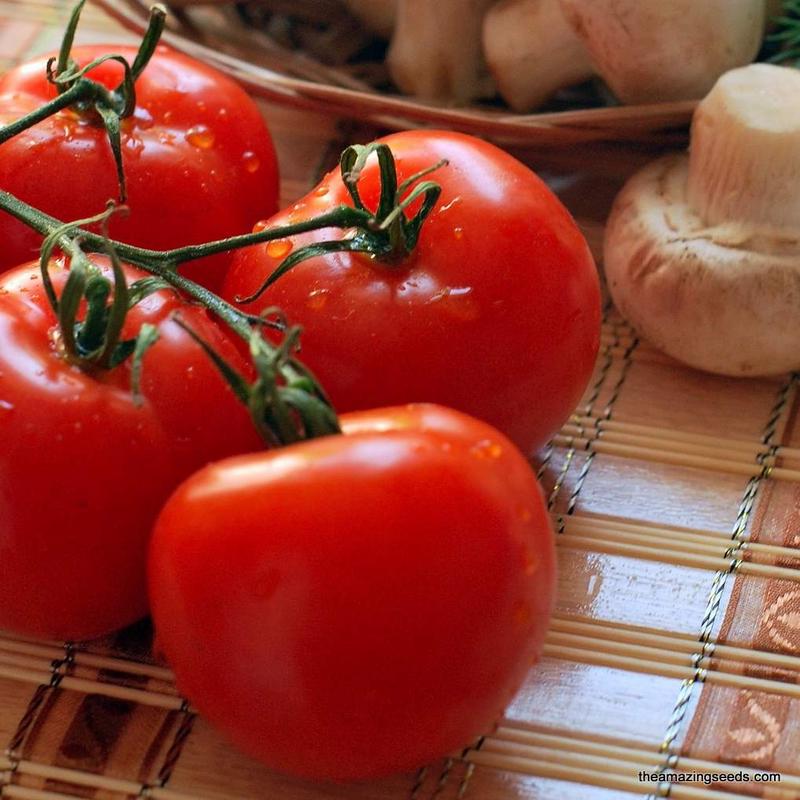 Heirloom, Rutgers Tomato Seeds