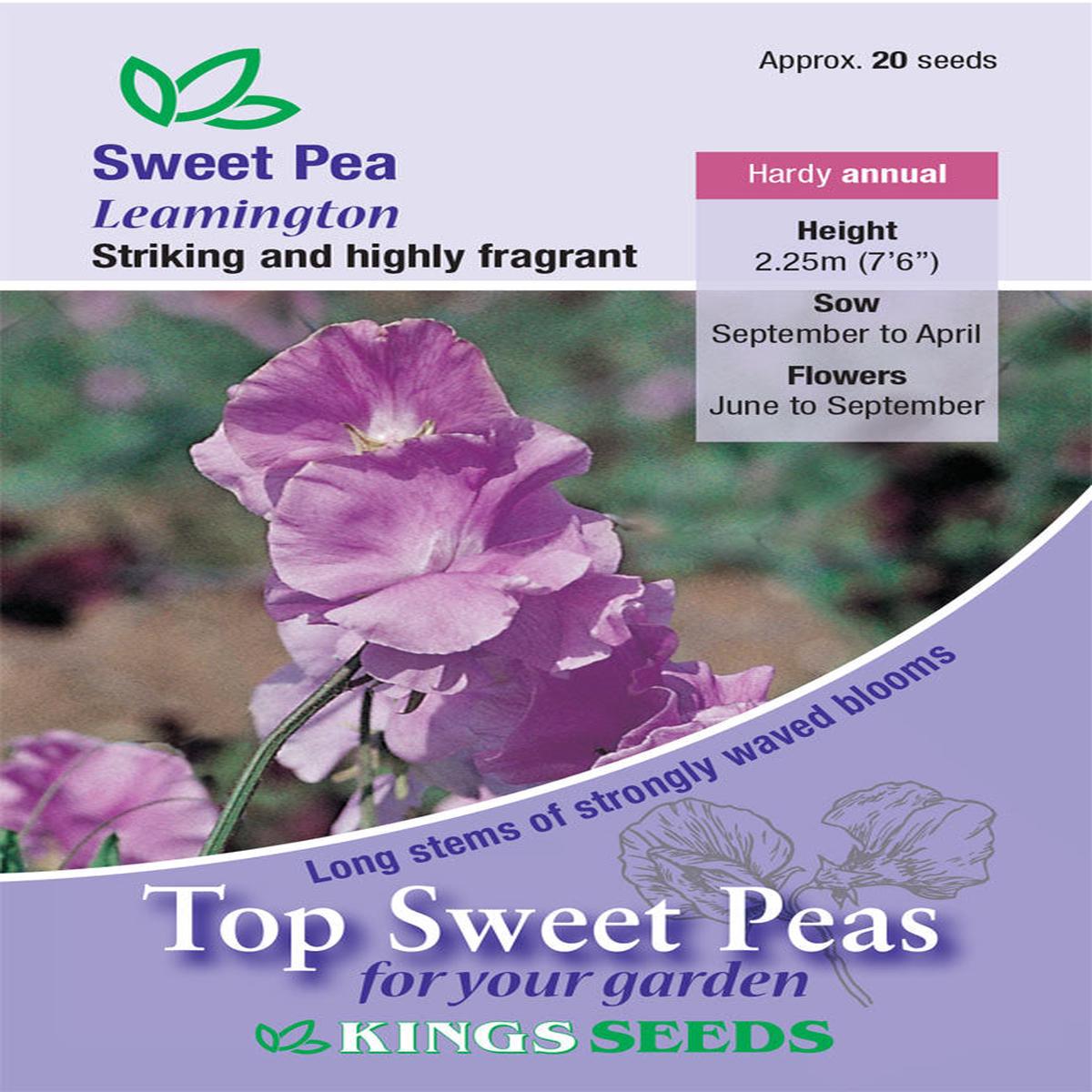 Kings Seeds Sweet Pea Leamington 20 Seeds