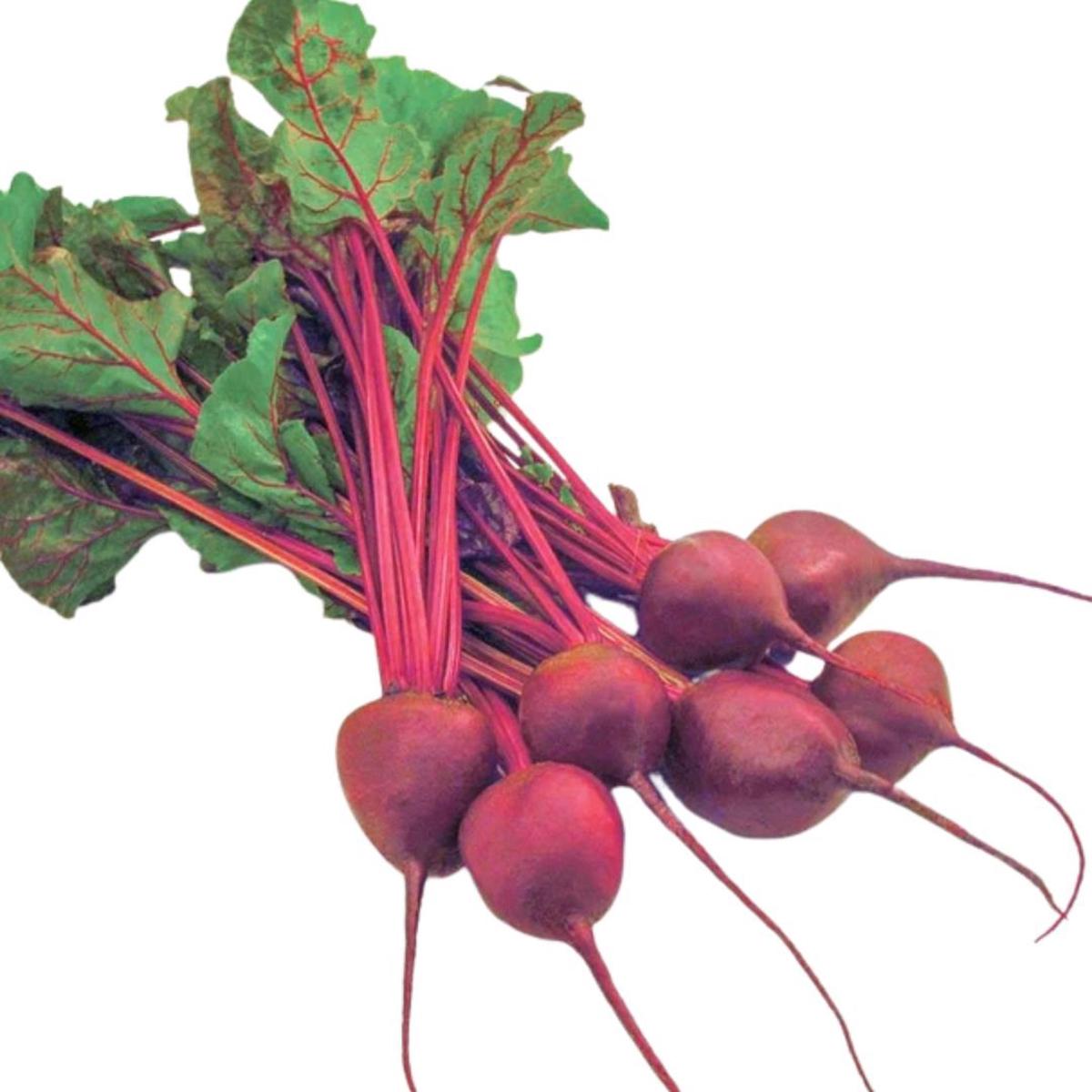 Beets Early Wonder Tall Top Seeds | West Coast Seeds