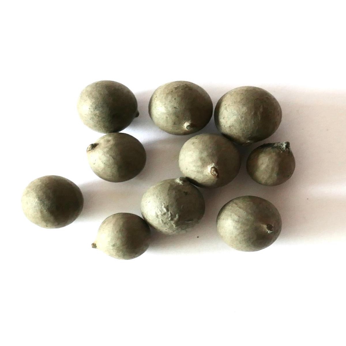 Ceroxylon quindiuense SEEDS - 1000 Seeds