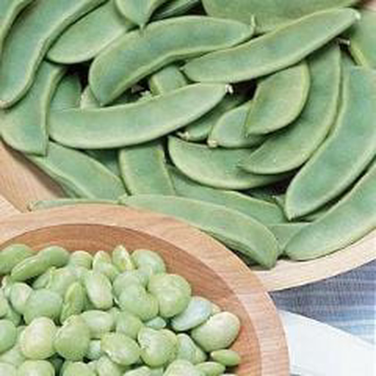 Bean Lima Fordhook 242 - Burpee Seeds