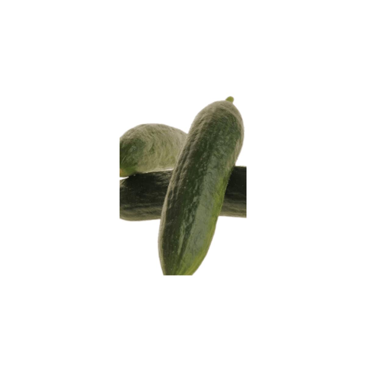 Cucumber Mercury Seeds | OSC Seeds