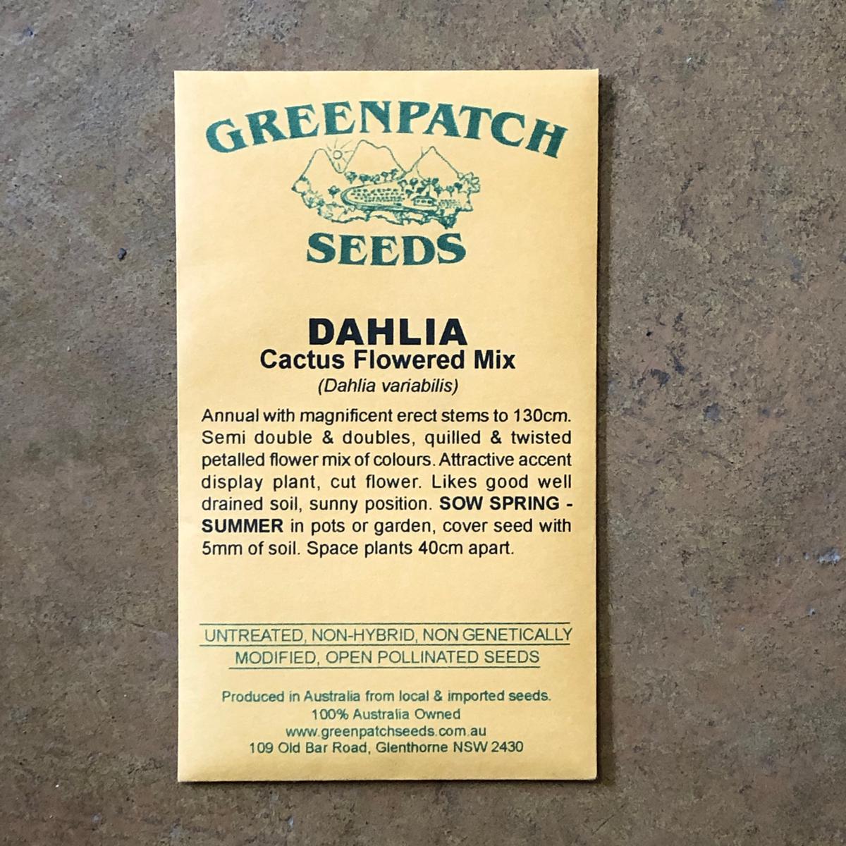 Dahlia 'Cactus Flowered Mix' Greenpatch seeds