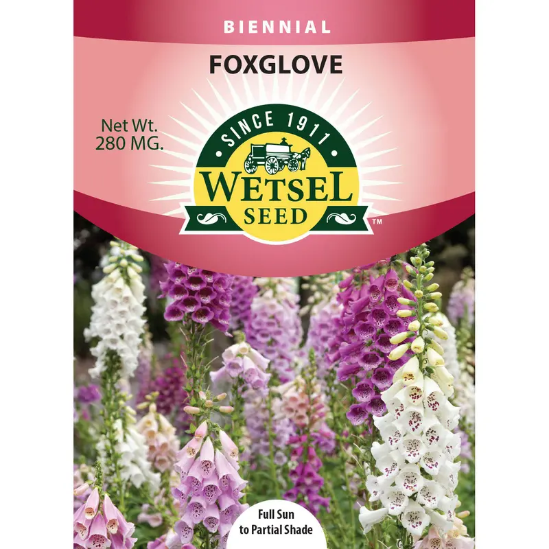 Wetsel Seed Foxglove Seed