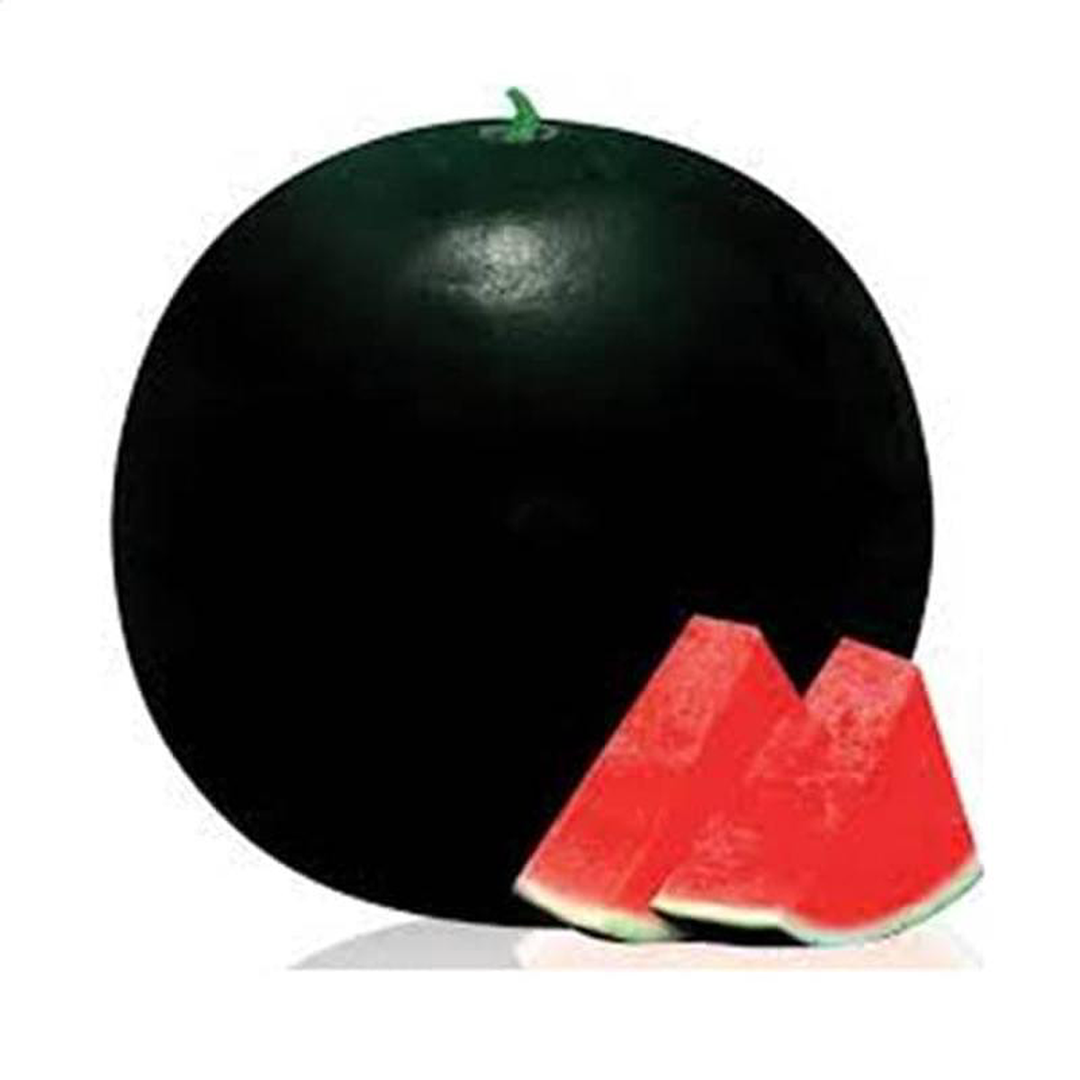 Water Melon F1 Arya 114 8211 Fruit Seeds