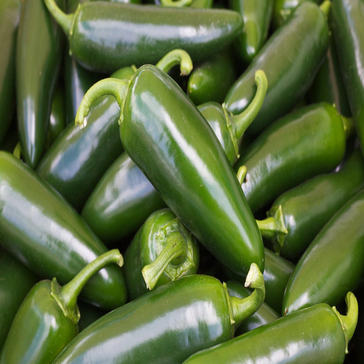 Chilli Pepper Jalapeno M Seeds