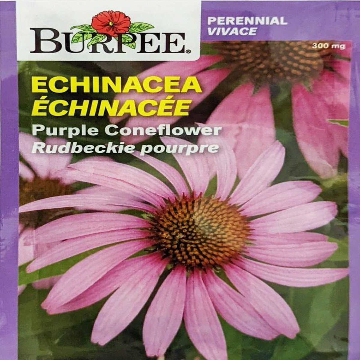 Echinacea Purple Coneflower 8211 Burpee Seeds