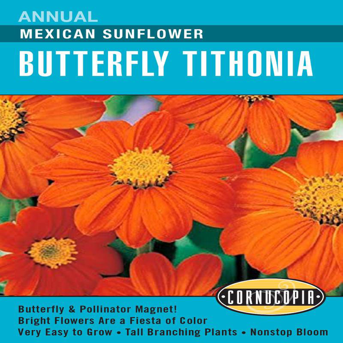 Butterfly Tithonia Mexican Sunflower 8211 Cornucopia Seeds