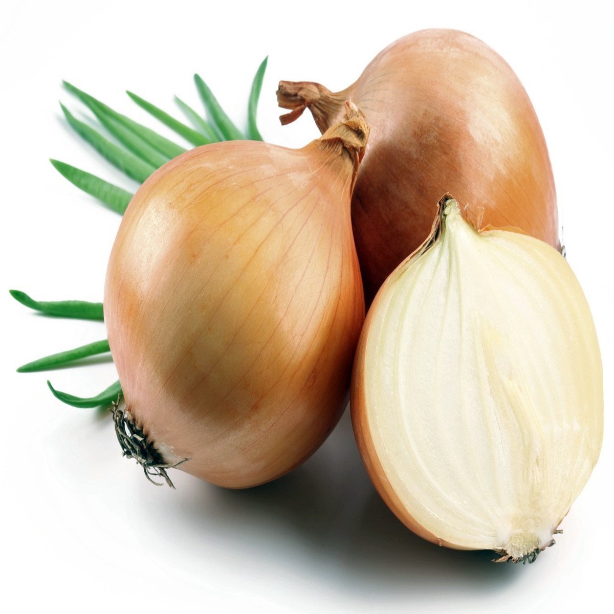 Hybrid Candy Onion - 50 Seeds - Incredibly Sweet & Mild