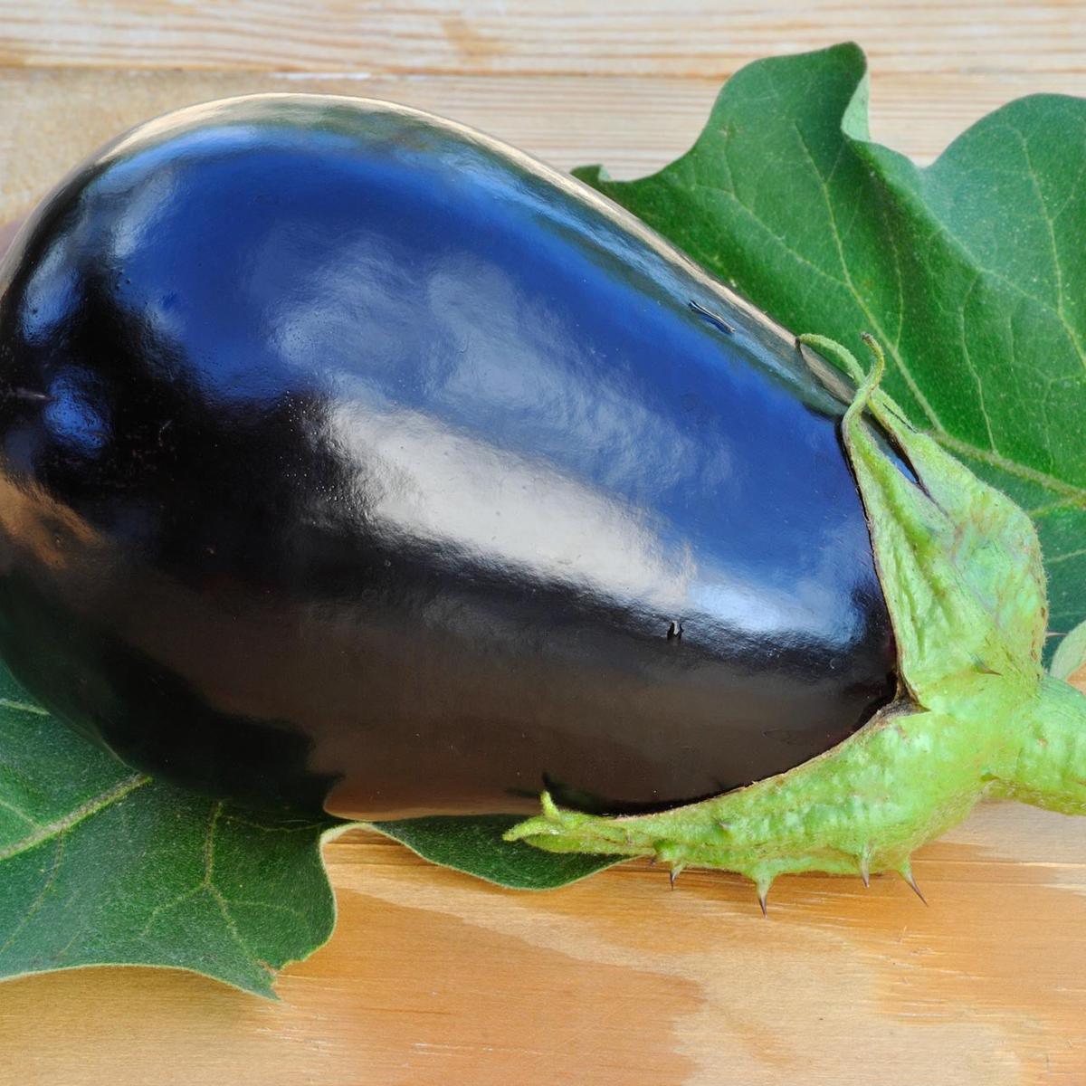 Organic Black Beauty Eggplant (Solanum melongena)