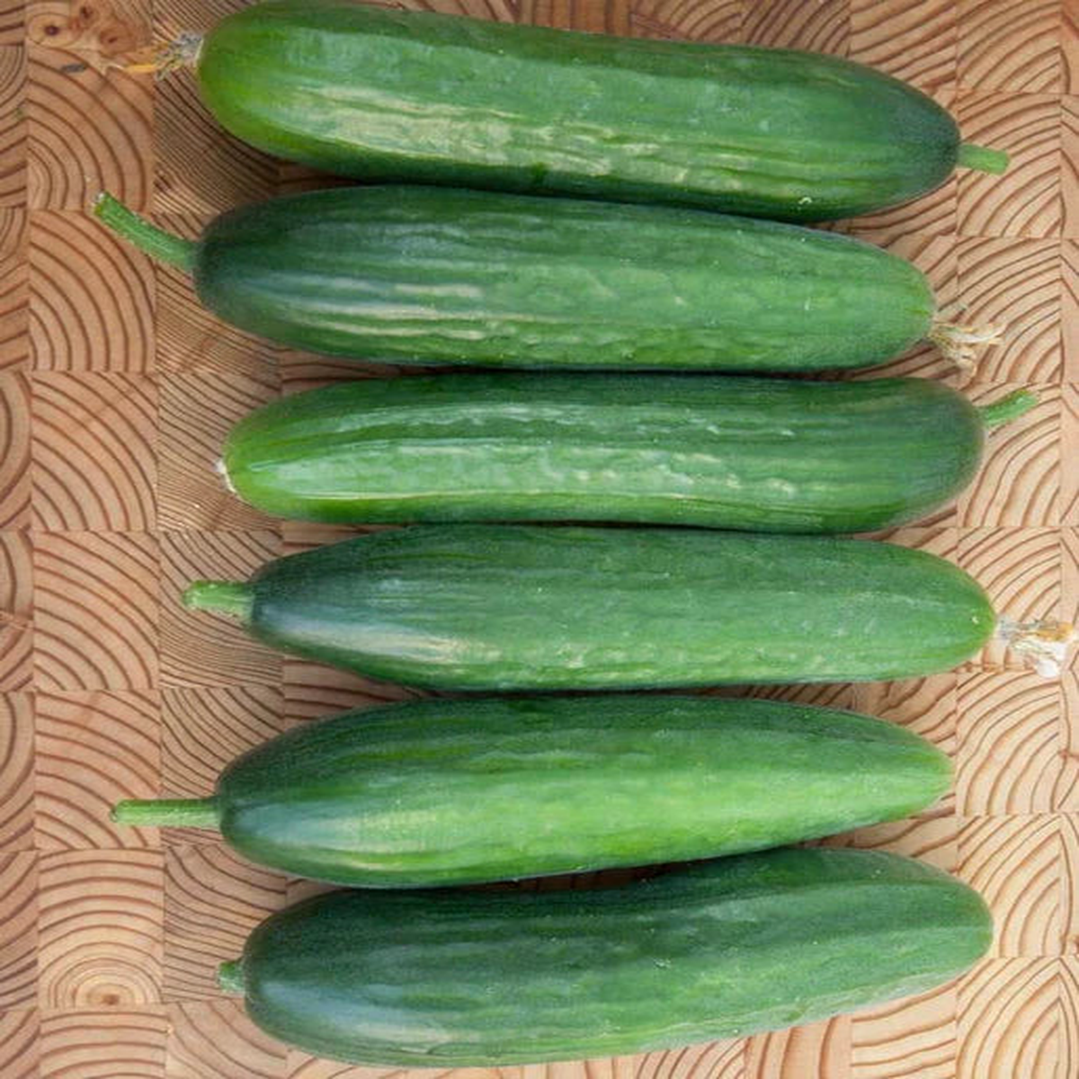 CUCUMBER PICOLINO ORGANIC