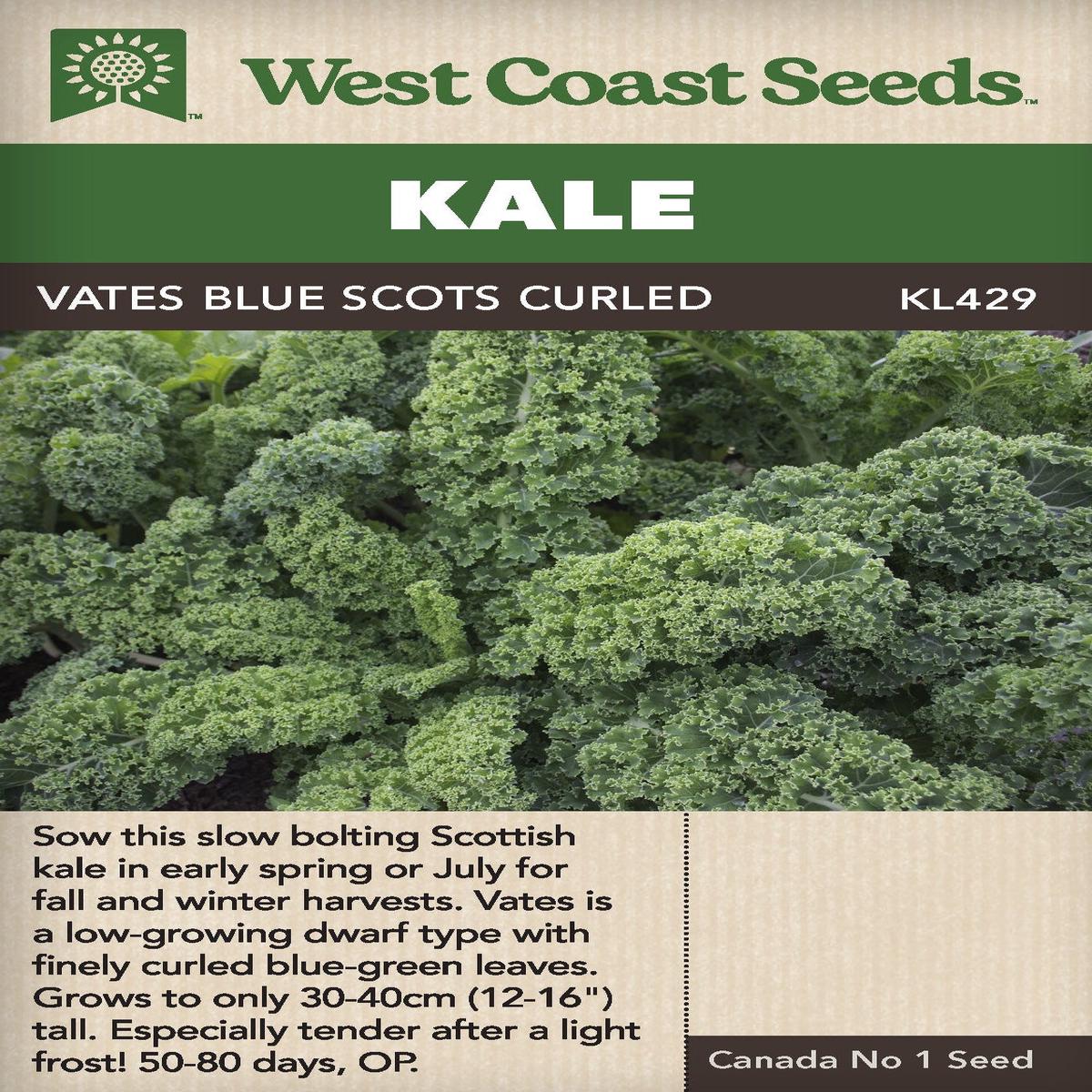 Kale Vates Blue Curled Scotch - West Coast Seeds