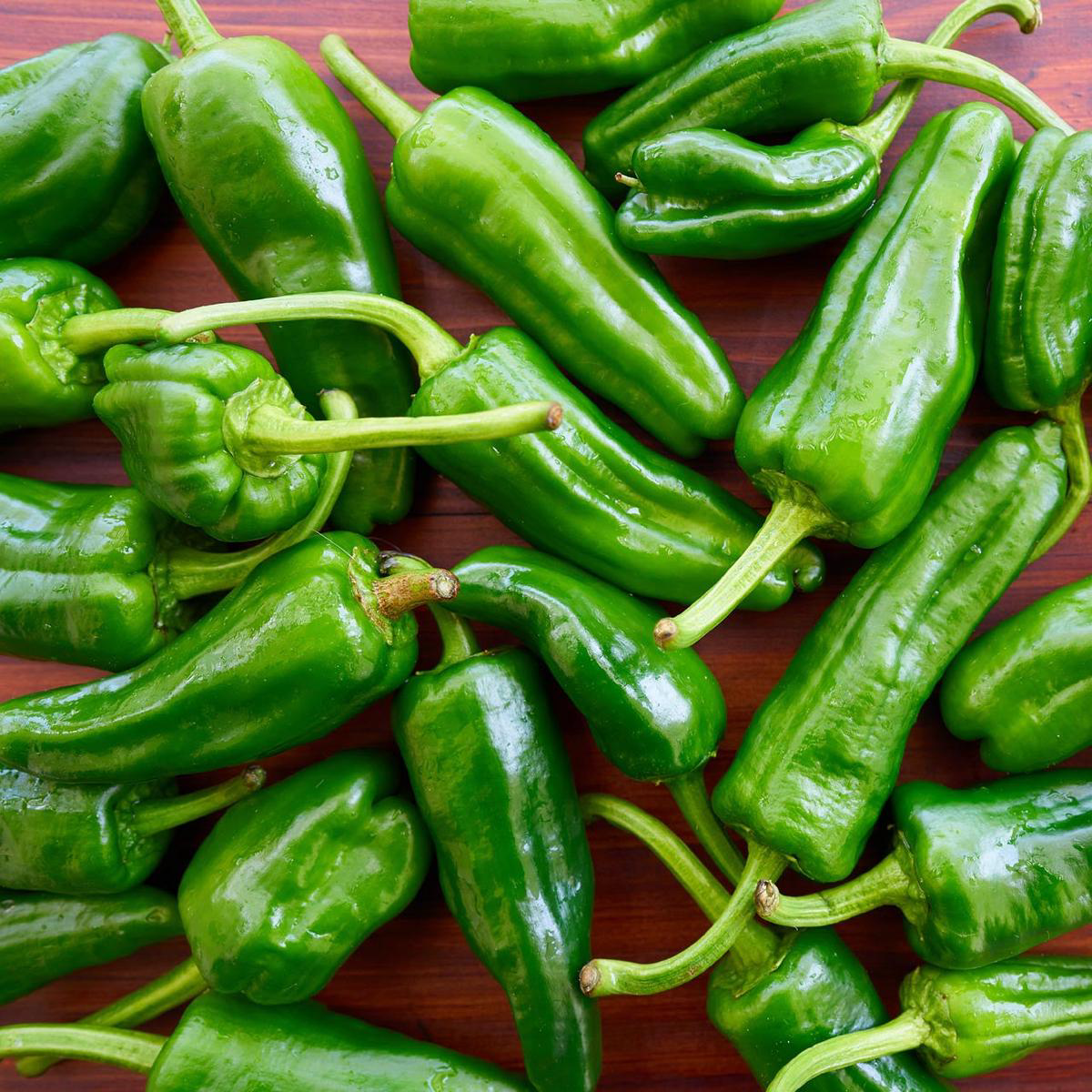 Organic Padrn Chile Pepper