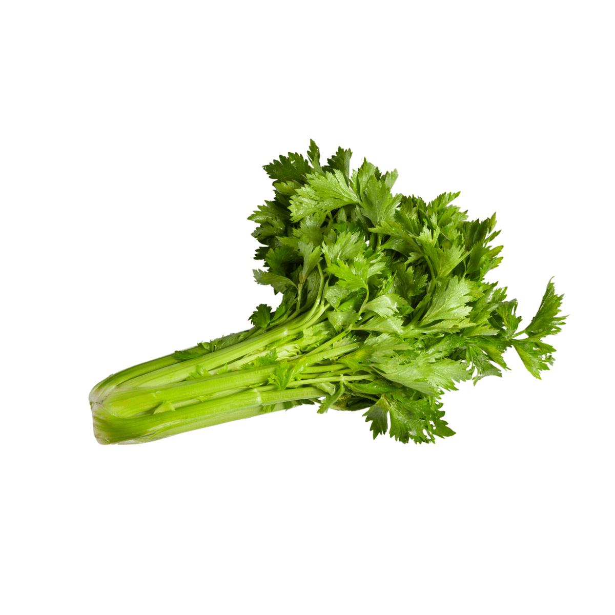 Celery Tango Coated Certified Organic Seeds | West Coast Seeds