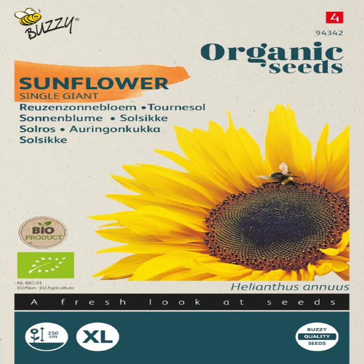 Riesensonnenblume Samen BIO