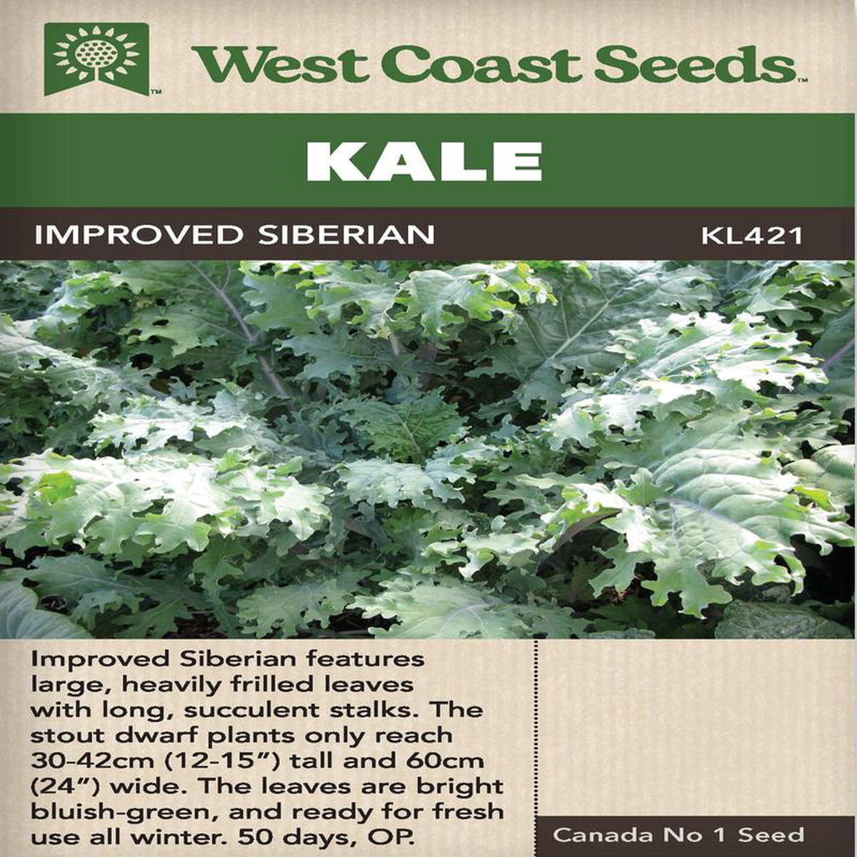 Kale Improved Siberian 8211 West Coast Seeds