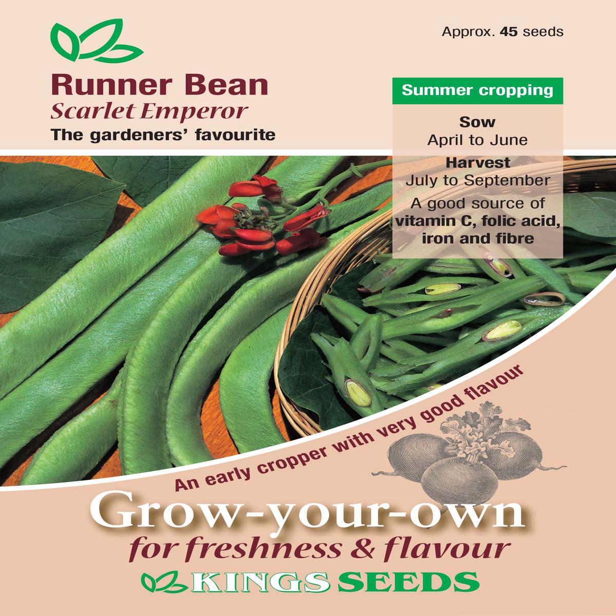 Kings Seeds Runner Bean Scarlet Emperor 45 Seeds