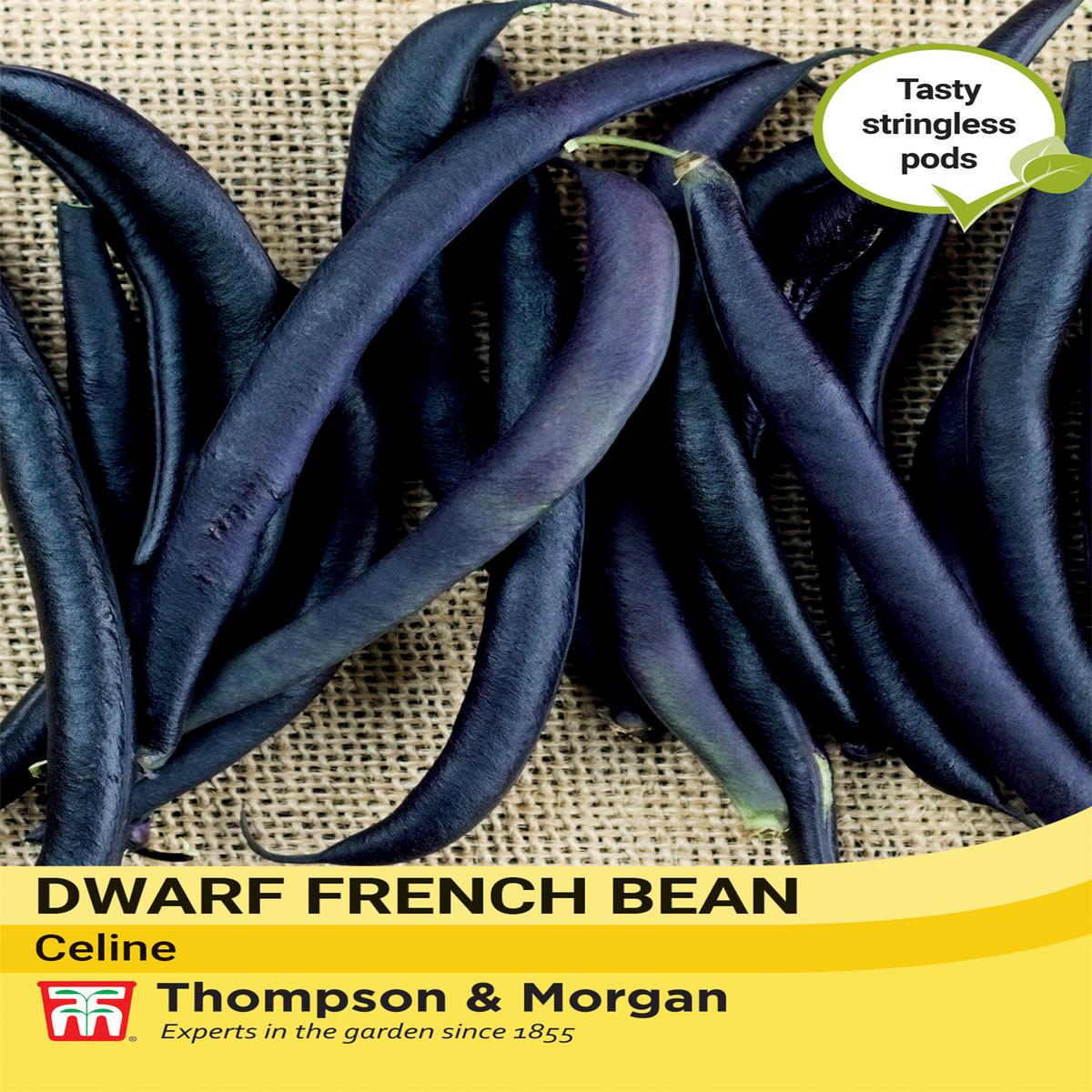 Thompson & Morgan Vegetable Dwarf French Bean Celine - 120 Seeds