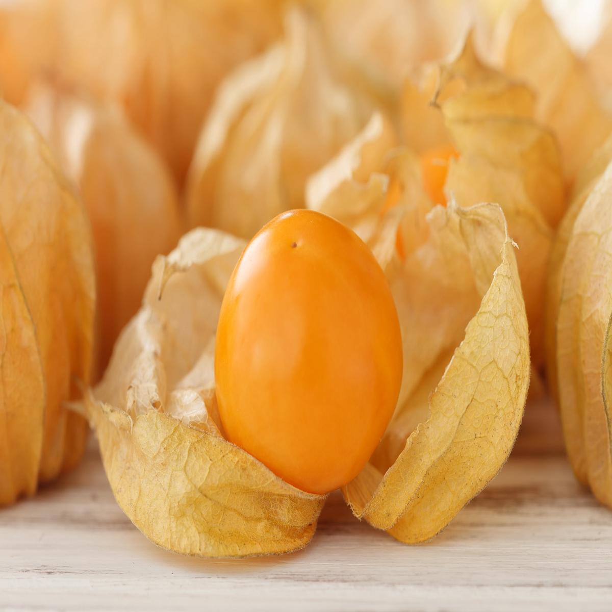 50 PERUVIAN GROUND CHERRY Physalis Peruviana Cape Gooseberry Fruit Veggie Seeds