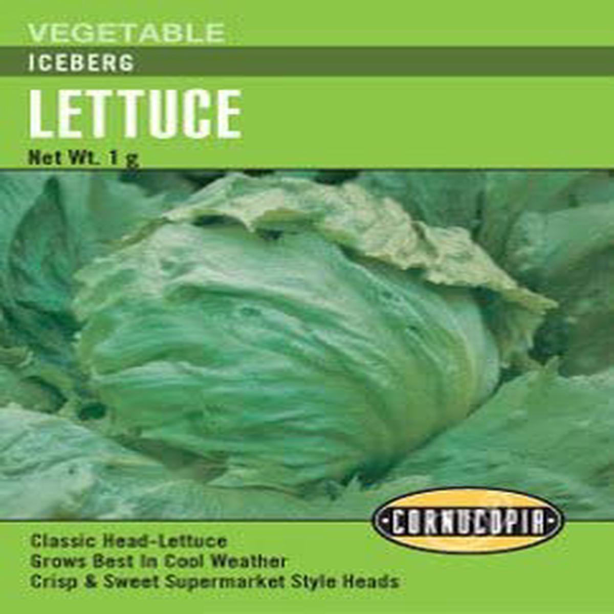 Lettuce Iceberg - Cornucopia Seeds