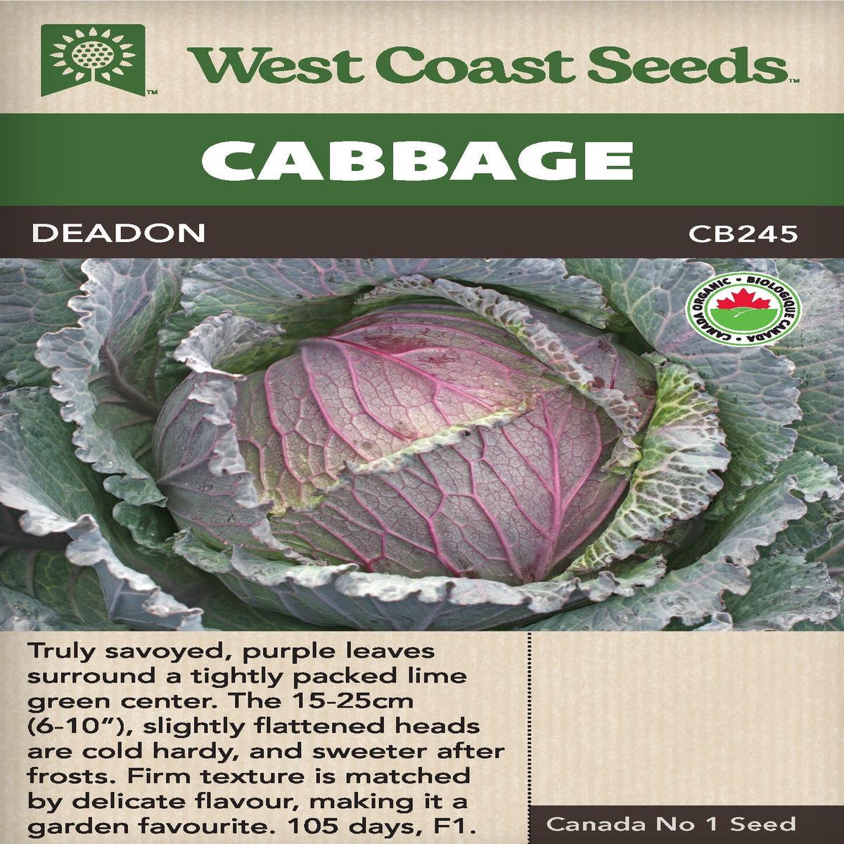 Organic Cabbage Deadon - West Coast Seeds