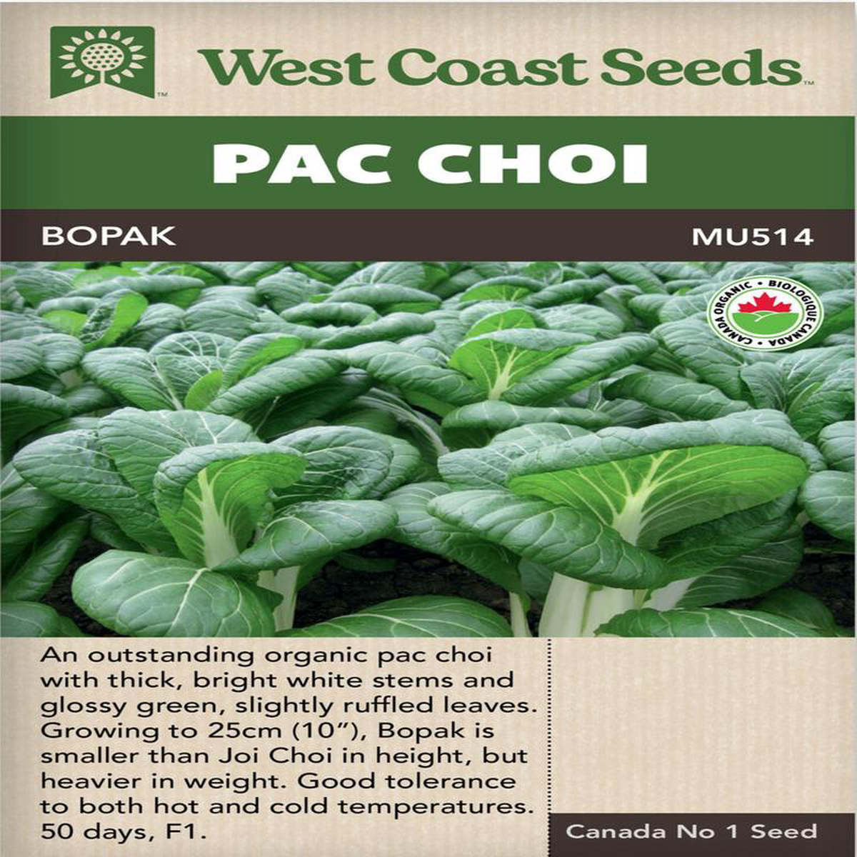 Organic Pac Choi Bopak 8211 West Coast Seeds