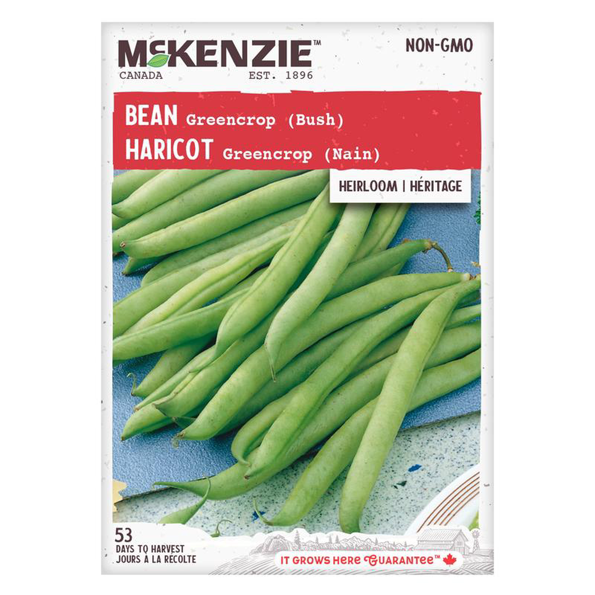 Bean Greencrop Bush 8211 McKenzie Seeds