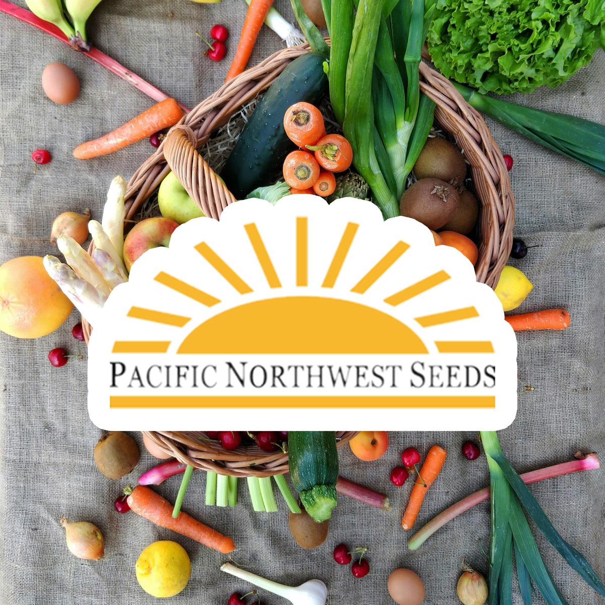 Beet Cylindra - Pacific Northwest Seeds