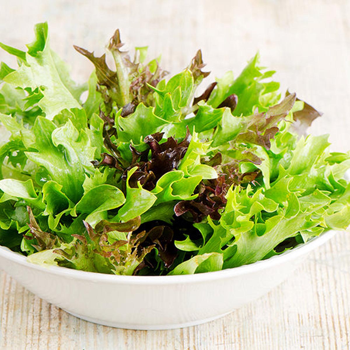 Lettuce (Blend), Gourmet OG (Certified Organic Seeds)