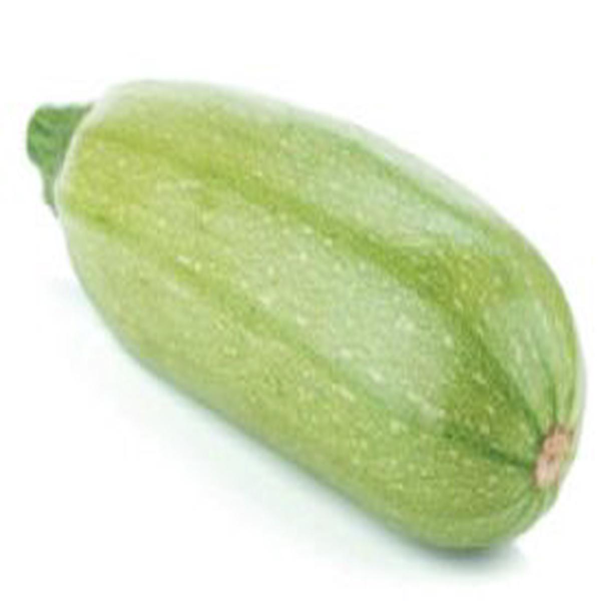 Squash Summer Long White Bush Marrow Seeds | OSC Seeds