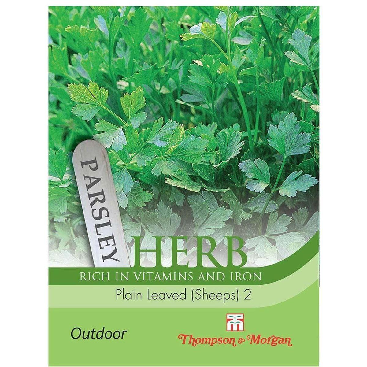 Thompson & Morgan Parsley Plain Leaved (Sheeps) 2 1000 Seed