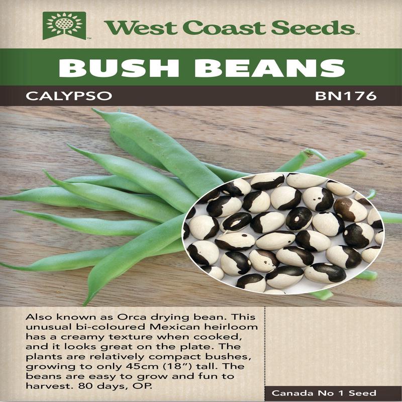 Bean Calypso - West Coast Seeds