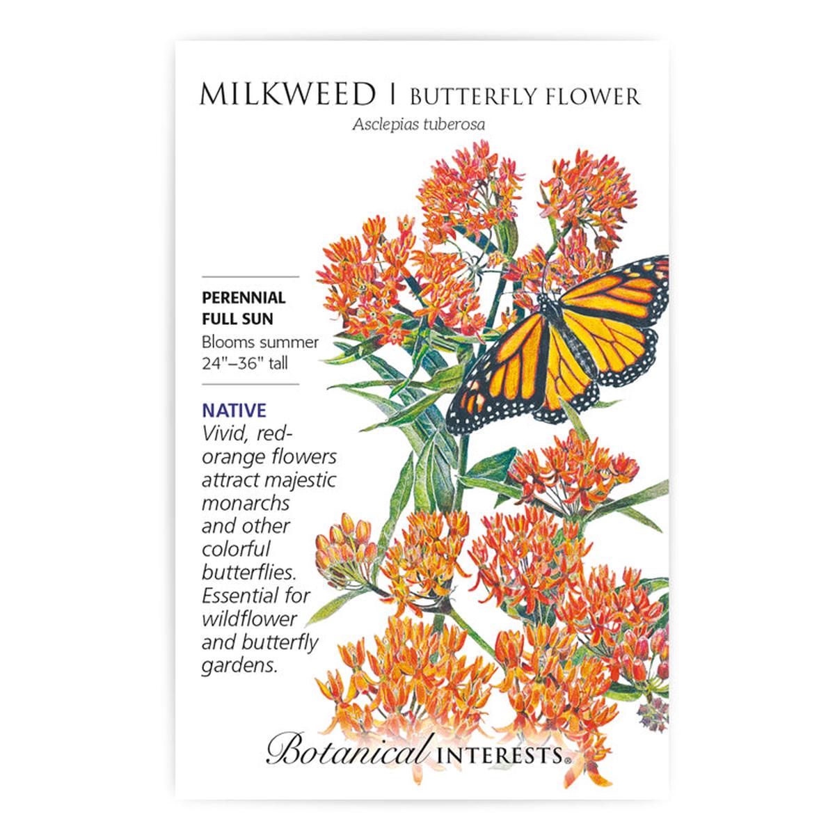 Milkweed - Tuberosa