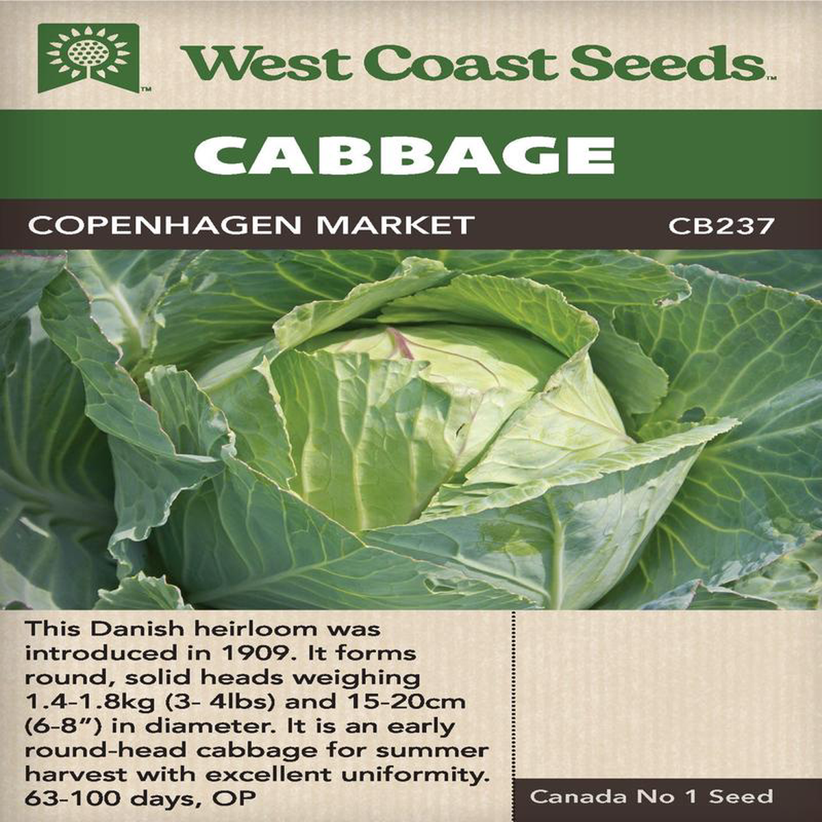 Cabbage Copenhagen Market 8211 West Coast Seeds