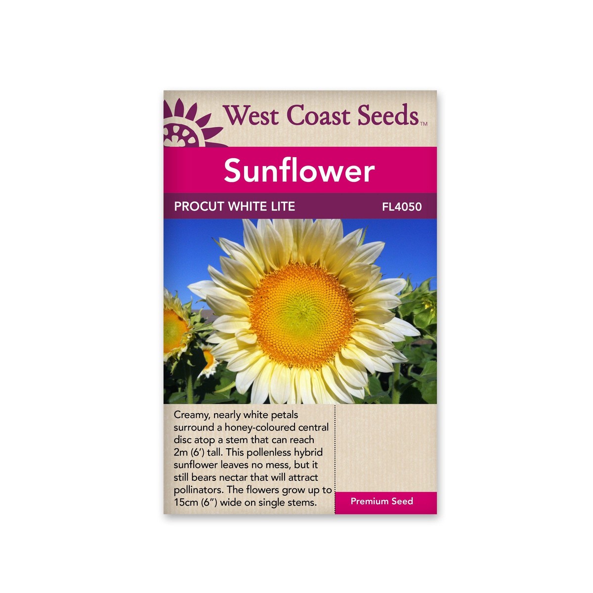Sunflowers Procut White Lite F1 (25 Seeds)