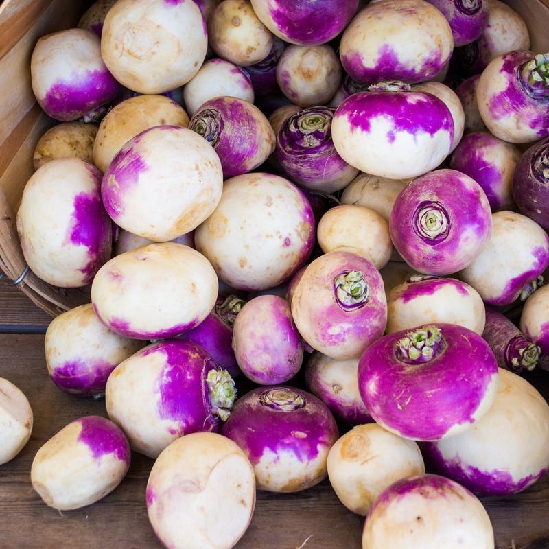 Turnip Purple Top White Globe Vegetable | X 200 Seeds