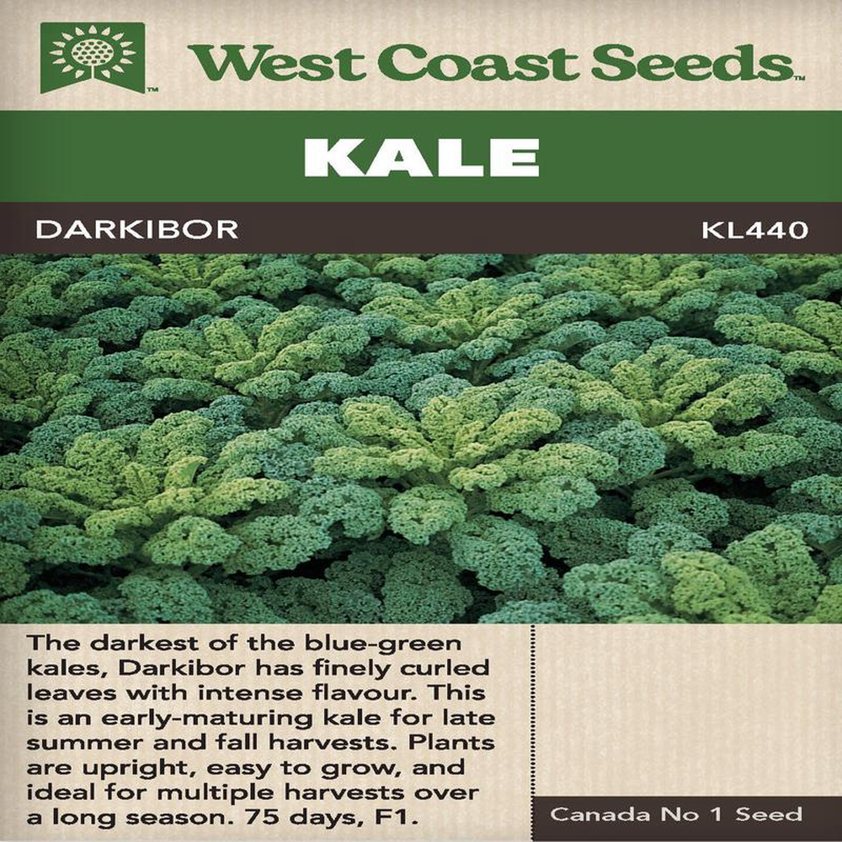 Kale Darkibor 8211 West Coast Seeds