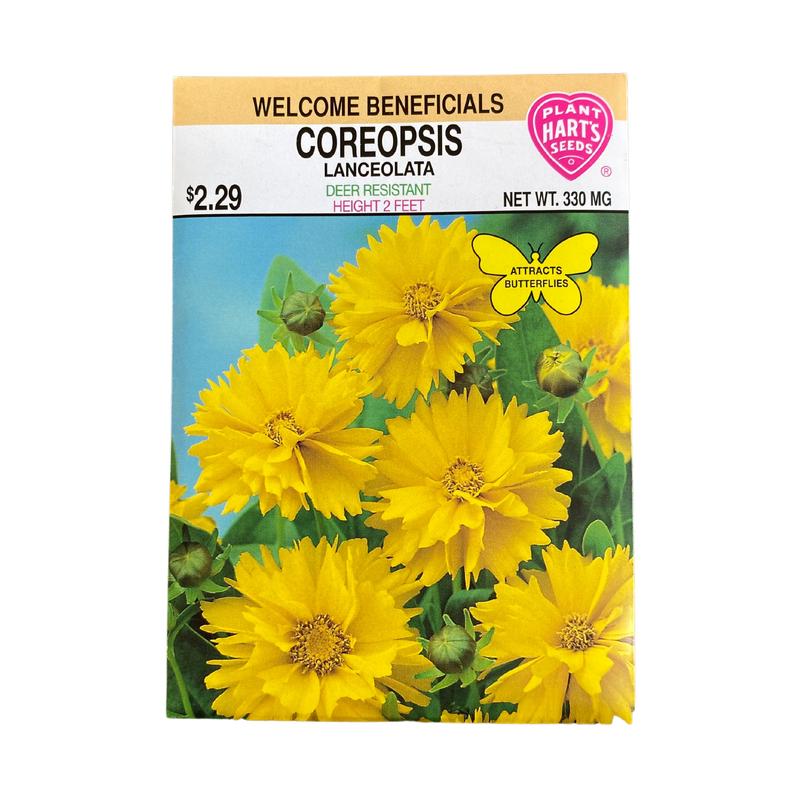 Coreopsis Lanceolata