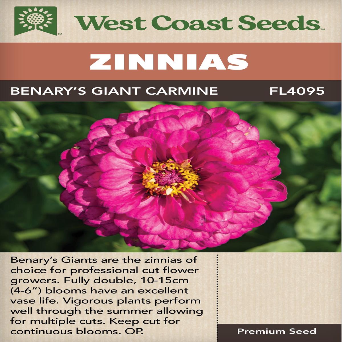 Zinnias Benary's Giant Carmine - West Coast Seeds