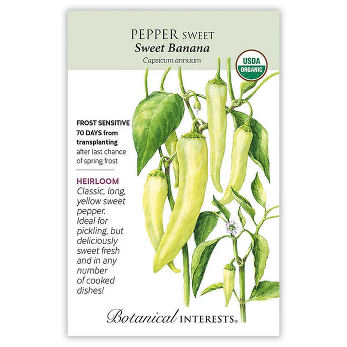 Pepper Sweet seeds 'Sweet Banana'