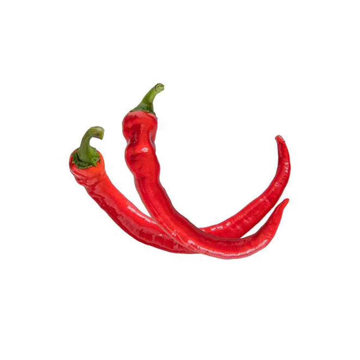 Cow Horn Hot Pepper Seeds - Medium Heat - Heirloom Peppers