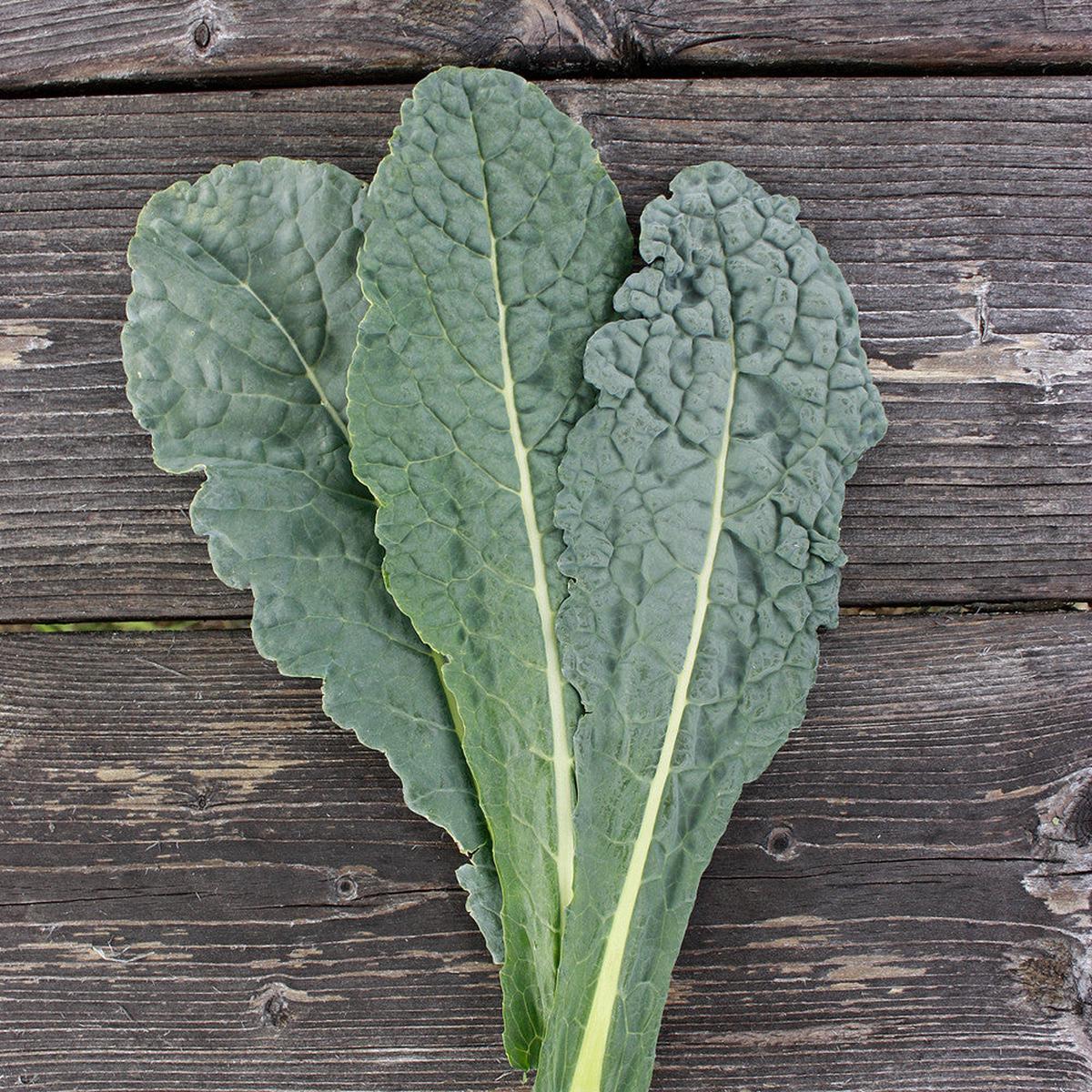 Kale, Lacinato Dinosaur (Organically Grown Seeds)