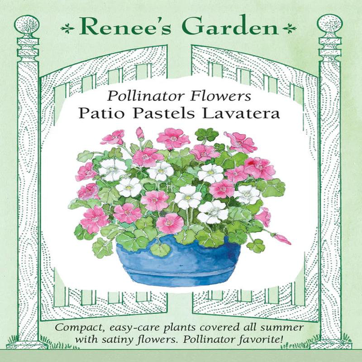 Lavatera Patio Pastels 8211 Renee8217s Garden