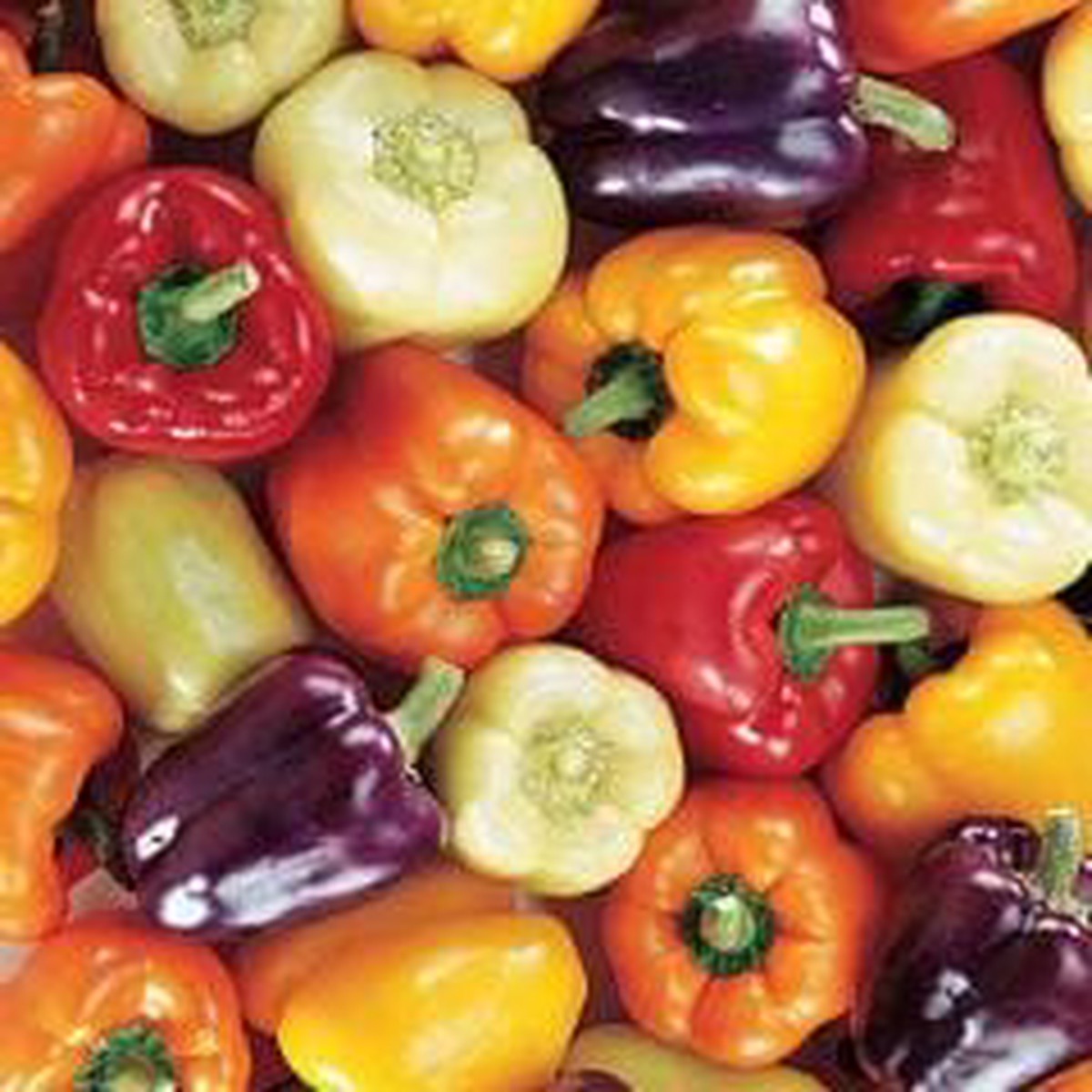 Pepper Sweet Carnival Blend - Burpee Seeds
