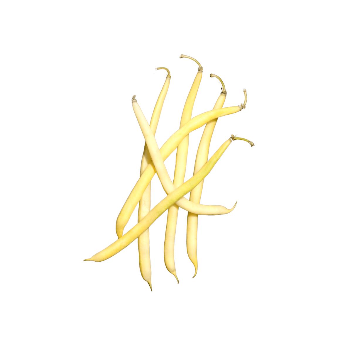 Beans Carson Seeds | West Coast Seeds
