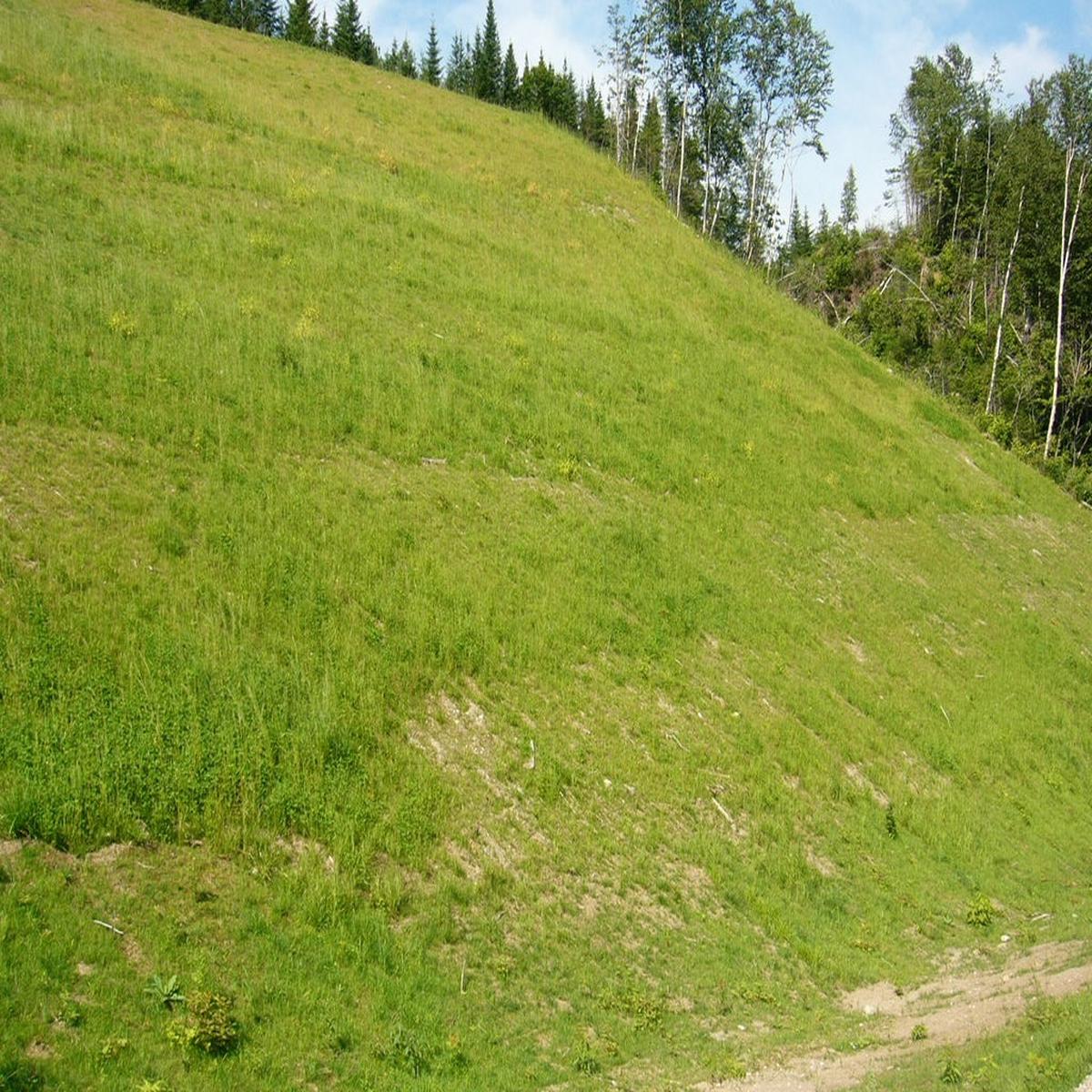 Herbionik native stabilization